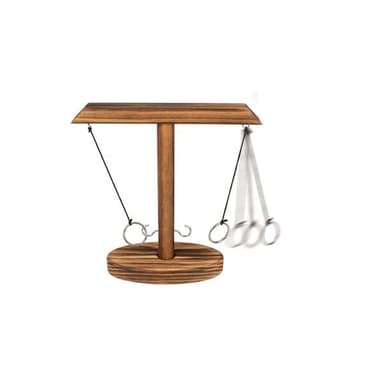 Ring Toss partyspel