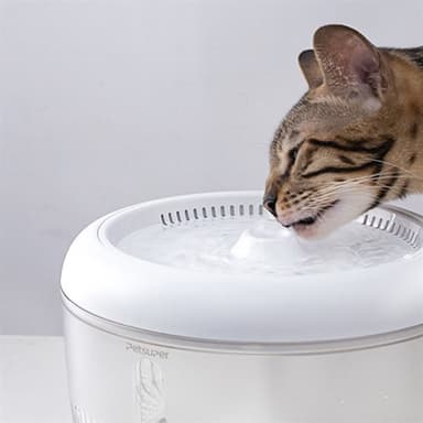 Petsuper vattenfontän för husdjur 2,5L med smart filtrering – Vit