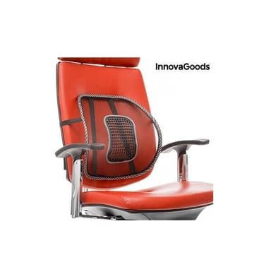 InnovaGoods Ergonomiskt & Portabelt Ryggstöd/Svankstöd