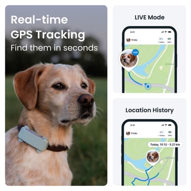 Tractive Dog 6 GPS-tracker (mint)