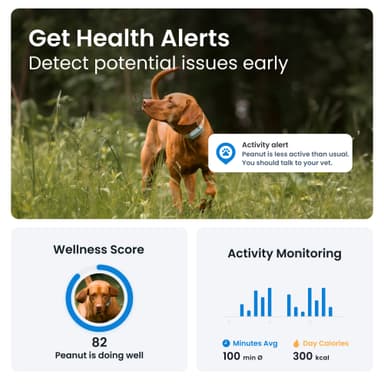 Tractive Dog 6 GPS-tracker (mint)