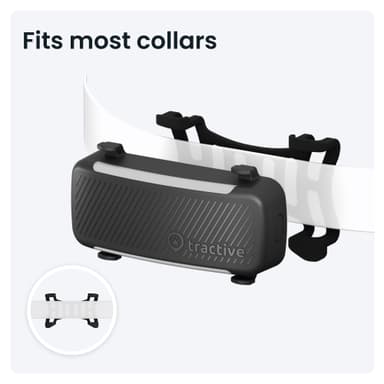 Tractive Dog 6 GPS-tracker (svart)