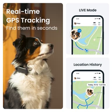 Tractive Dog 6 GPS-tracker (svart)