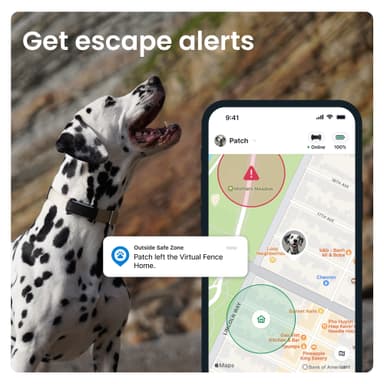 Tractive Dog 6 GPS-tracker (svart)