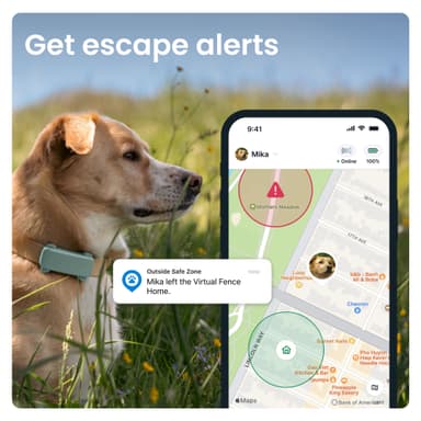 Tractive Dog 6 GPS-tracker (mint)