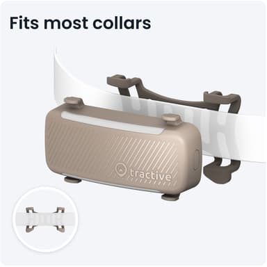 Tractive Dog 6 GPS-tracker (brun)