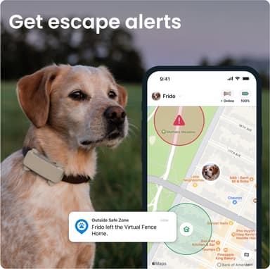 Tractive Dog 6 GPS-tracker (brun)