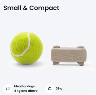 Tractive Dog 6 GPS-tracker (brun)