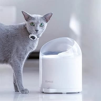 Catlink Pure 2 Vattenfontän för husdjur 2,6L