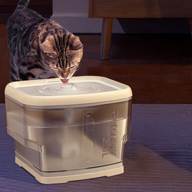 Petsuper vattenfontän för husdjur 2,5L med tyst drift och trådlös pump – vit