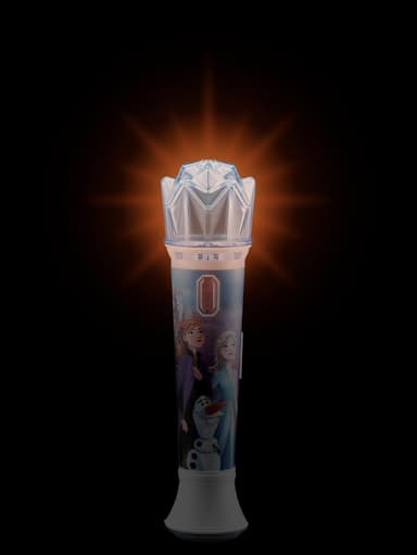 Frost Sing Along Microphone