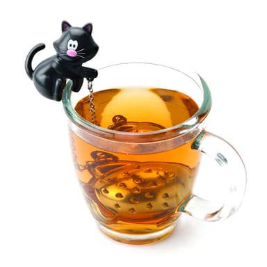 Tekula Katt
