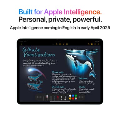 iPad Air 13 M3 512GB WiFi + 5G (Space Gray)