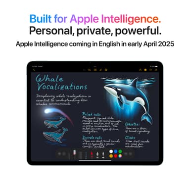 iPad Air 11 M3 1TB WiFi (Space Gray)