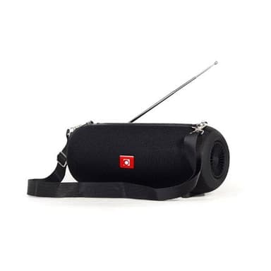 Bärbar Bluetooth-högtalare med FM-radio - Svart