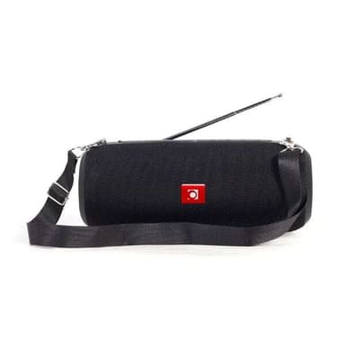 Bärbar Bluetooth-högtalare med FM-radio - Svart