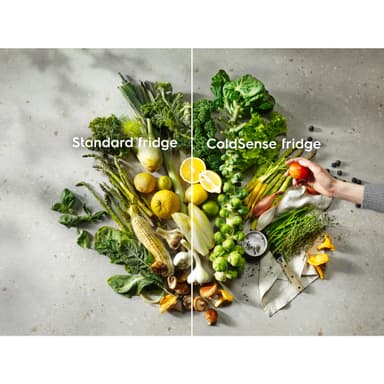 Electrolux Serie 500 Kyl/Frys LTB1AE28W0 (vit)