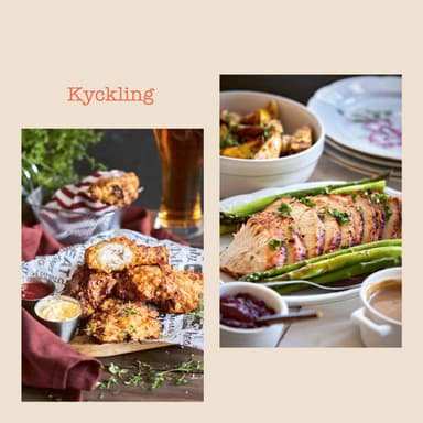 Panetti Kokbok för airfryer AIRTRUBOK