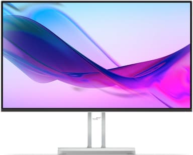 Lenovo L24i-4B 24" bildskärm (molngrå)