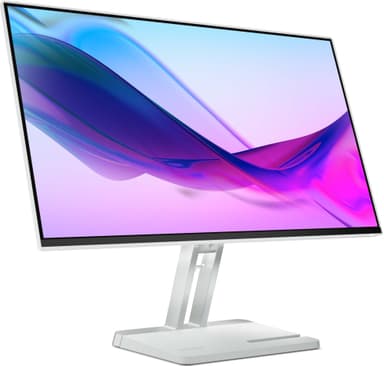 Lenovo L24i-4B 24" bildskärm (molngrå)