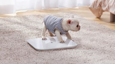 Xiaomi Mi Smart Scale 2, Vit