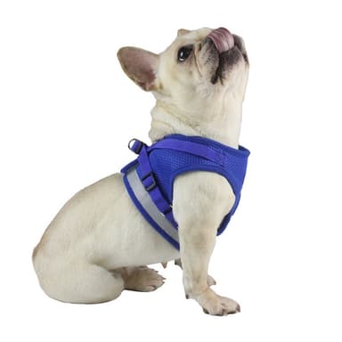 Reflekterande hundsele för liten medelstor hund - svart/XL