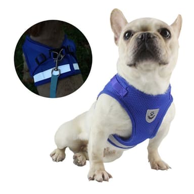 Reflekterande hundsele för liten medelstor hund - svart/L