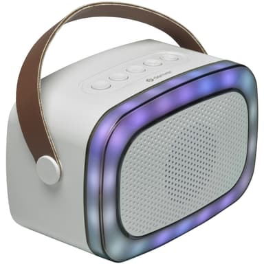 Denver Högtalare Bluetooth Mikrofon Karaoke Bluetooth BTM-610