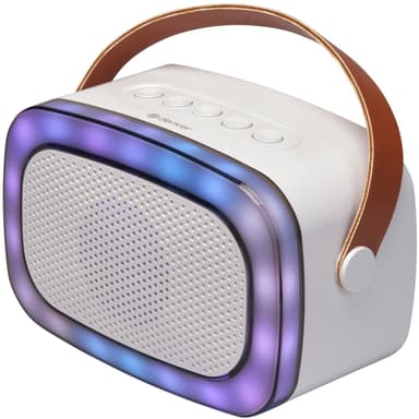 Denver Högtalare Bluetooth Mikrofon Karaoke Bluetooth BTM-610