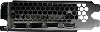 Palit GeForce RTX 5070 Infinity grafikkort (12 GB GDDR7)