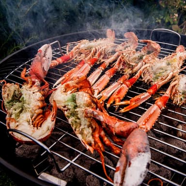 Kolgrill Freda