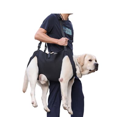 Stödsele för Hund - Lyftande Sele för Rehabilitering