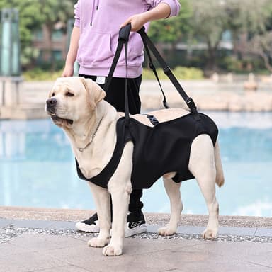 Stödsele för Hund - Lyftande Sele för Rehabilitering