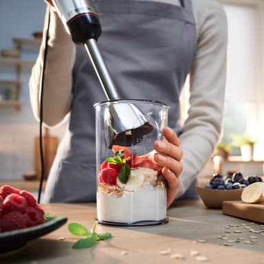 Bosch ErgoMaster Series 6 blender MSM6M652 (silver)