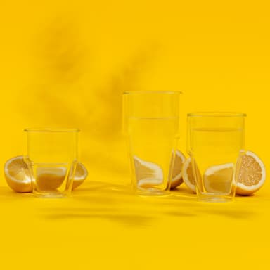 Bodum 2 st Dubbelväggiga Termosglas RIGI 0.25 L