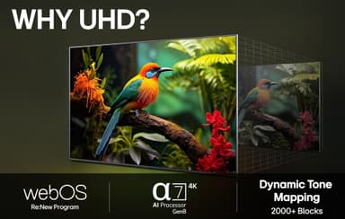 LG 43" UA 75 4K UHD TV (2025)