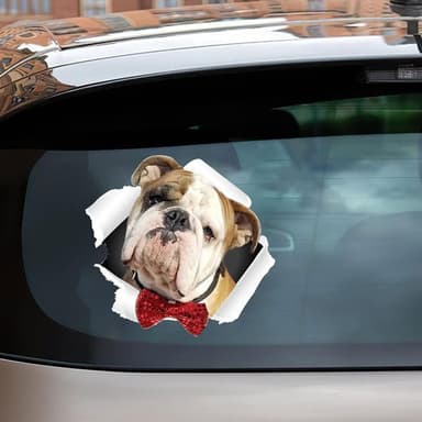 Bildekal Engelsk Bulldog