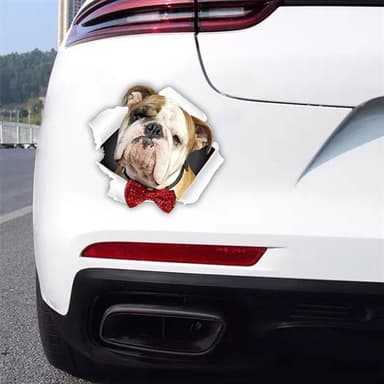 Bildekal Engelsk Bulldog
