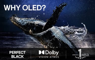 LG 55" G5 4K OLED evo TV (2025)