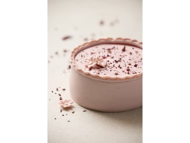 Blomsterbergs Adjustable cake leveller Latte