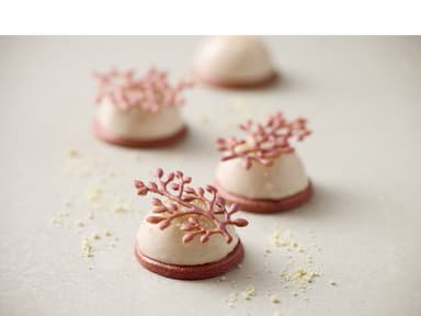 Blomsterbergs Branch Tuile mould Latte
