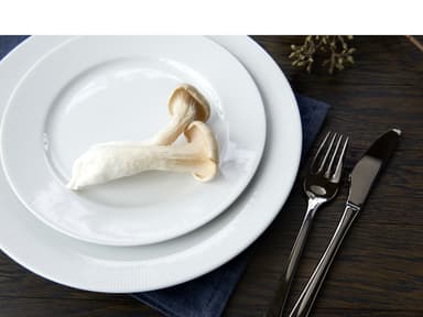 Pillivuyt Eventail Flat plate with rim Dia 22 cm White