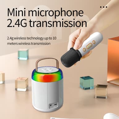 Y2-Single Mic Allt-i-ett Karaoke Bluetooth-högtalare Rosa