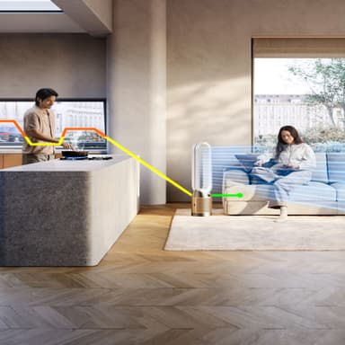 Dyson Cool PC2 De-NOx luftrenare 546519-01 (vit/silver)