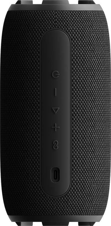 Sudio F5 Pro trådlös bärbar högtalare (svart)