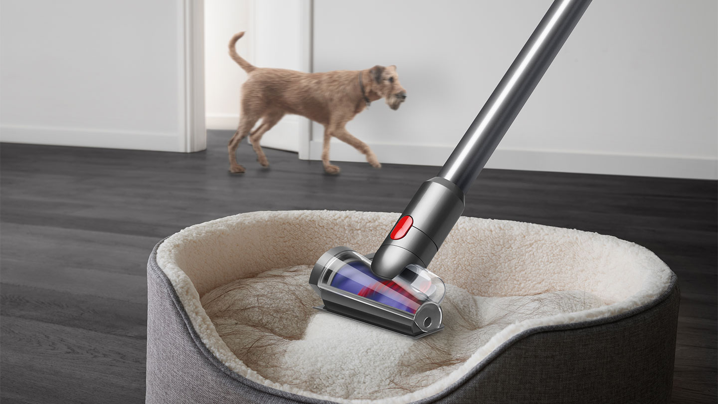 Dyson V15 dammsuger en hundbädd medan en hund går förbi i bakgrunden.