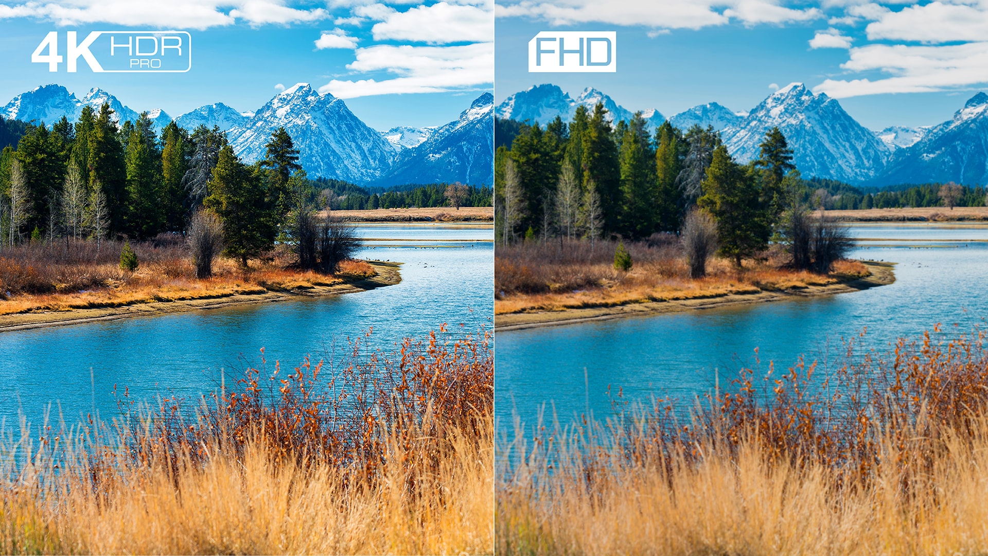 En naturbild i två versioner bredvid varann som en jämförelse med och utan 4K