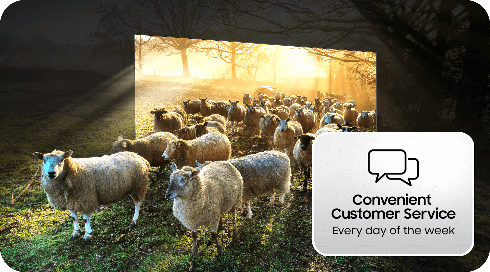 Samsung TV and sheep coming through the TV screen and 'Customer service' text