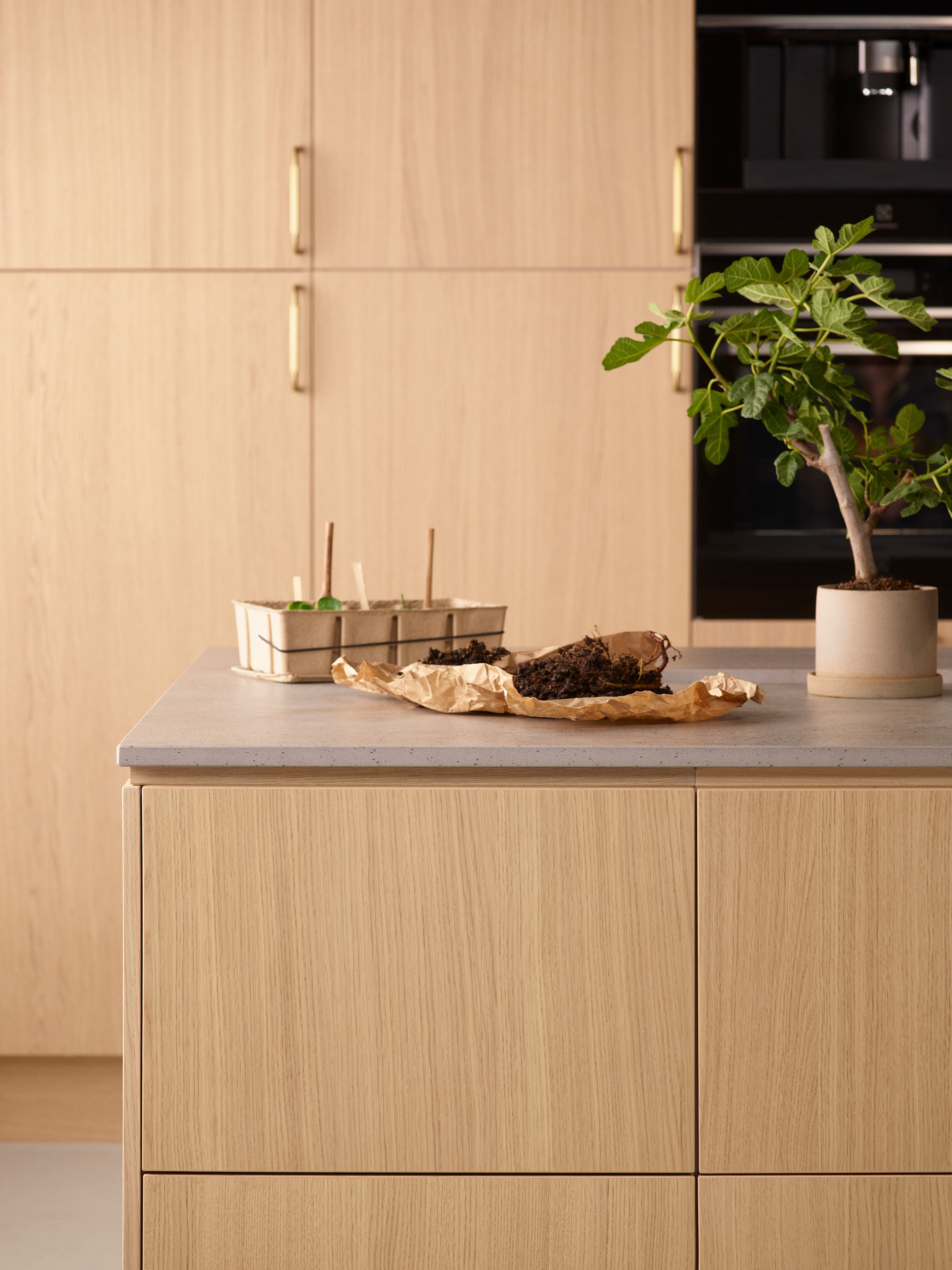 Wooden Epoq Edge Natural Oak kitchen and a plant on worktop