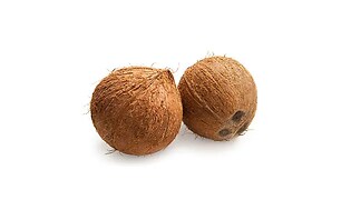 Två håriga kokosnötter med vit bakgrund.